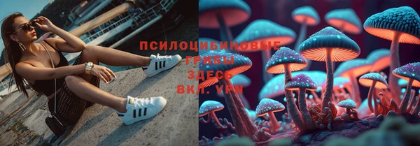 гидропоника Киреевск