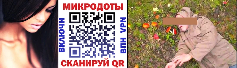darknet формула  купить наркотик  Пудож  Галлюциногенные грибы Cubensis 
