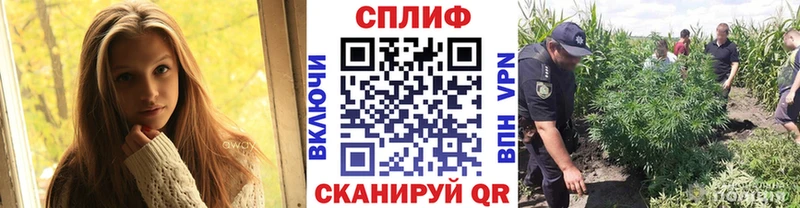 что такое   Пудож  Канабис Amnesia 